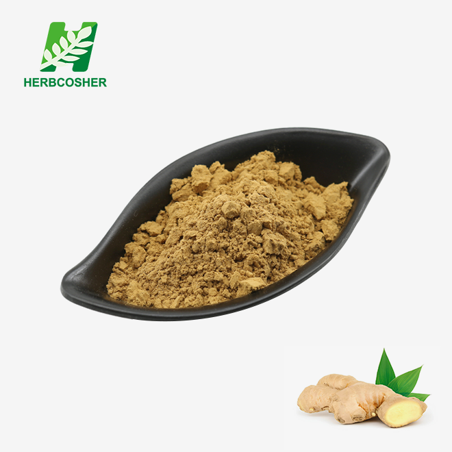 Natural Ginger Extract